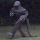 Illustration for article titled Lizard Man Is Back in South Carolina, and Looking Good